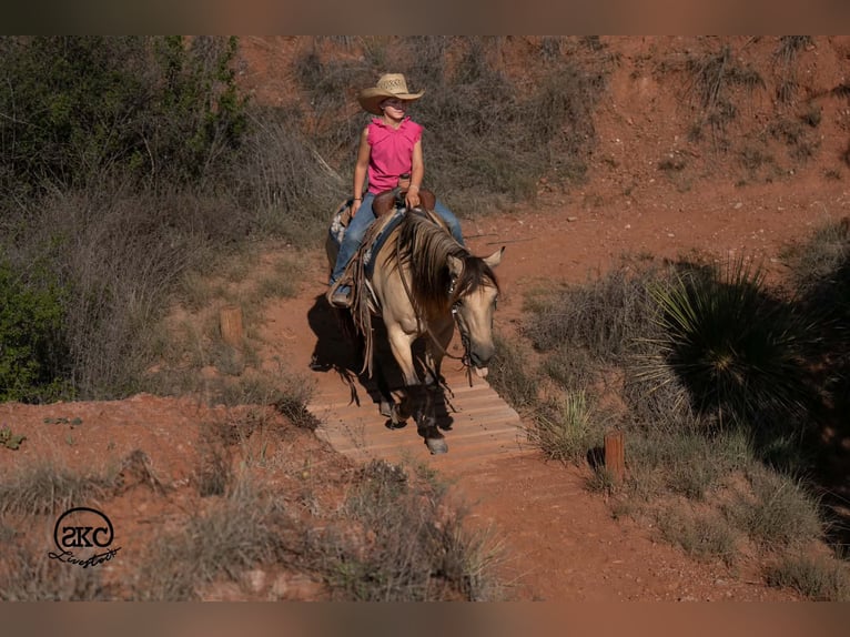 Poni cuarto de milla Yegua 11 años 132 cm Buckskin/Bayo in Canyon
