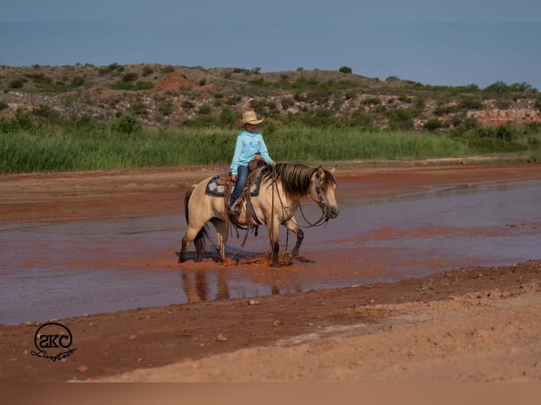 Poni cuarto de milla Yegua 11 años 132 cm Buckskin/Bayo in Canyon