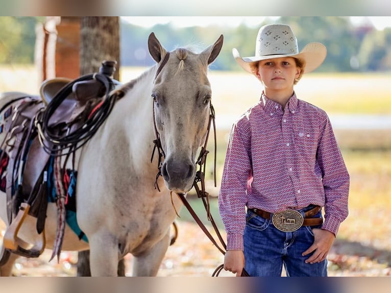 Pony de las Américas Caballo castrado 14 años 124 cm Champán in Mt Hope AL