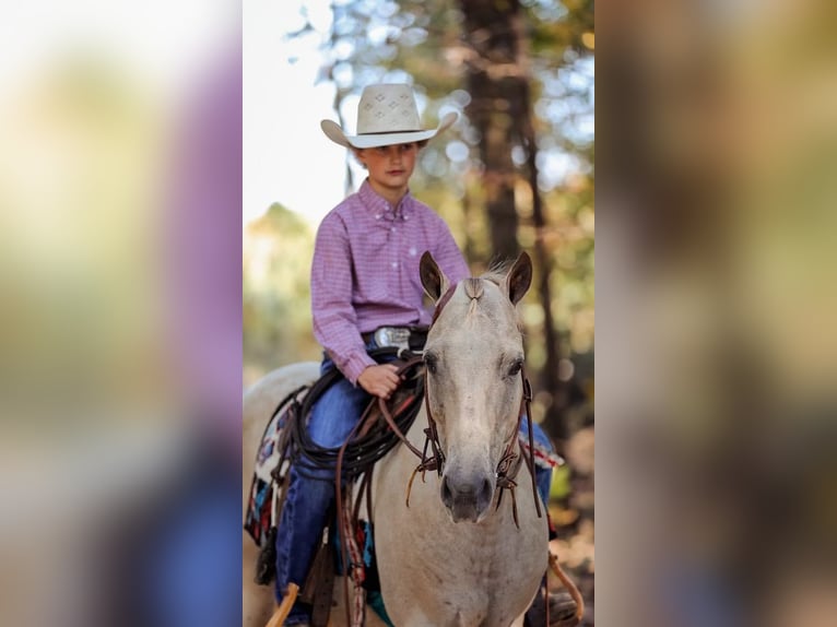 Pony de las Américas Caballo castrado 14 años 124 cm Champán in Mt Hope AL