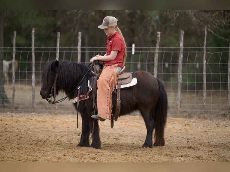 Pony Fell Castrone 9 Anni 107 cm Morello in Bloomburg