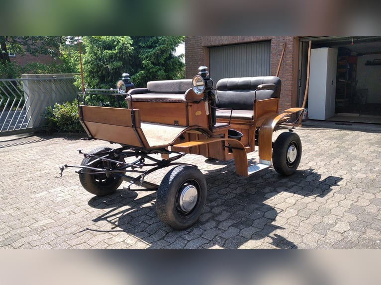 Pony Islandese Giumenta 17 Anni 135 cm Sauro in Sch&#xF6;ppingen