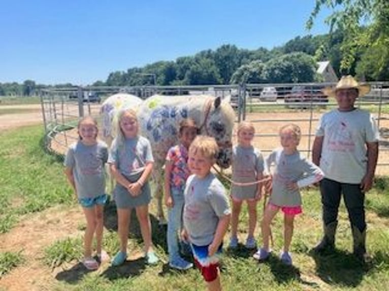 Pony of the Americas Gelding 15 years 14,2 hh in Buckholts, TX
