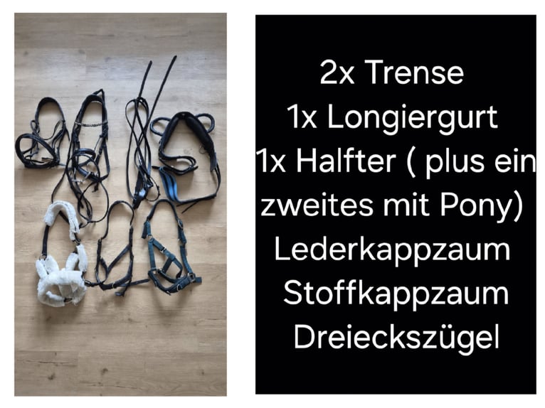 Pony tedesco Castrone 18 Anni 148 cm Sauro scuro in Zeven