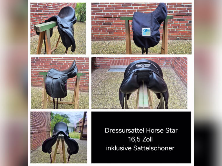 Pony tedesco Castrone 18 Anni 148 cm Sauro scuro in Zeven