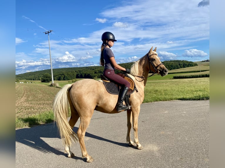 Pony tedesco Mix Castrone 6 Anni 142 cm Palomino in Deuerling