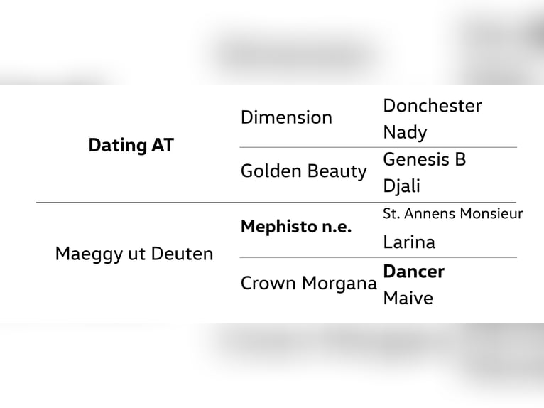 Pony tedesco Giumenta 8 Anni 142 cm Palomino in Dannenberg (Elbe)