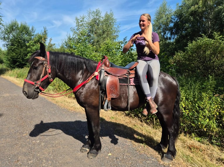 Pozostałe rasy Klacz 3 lat 163 cm Kara in Linkenbach