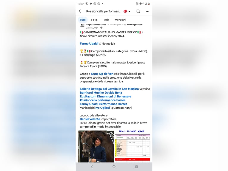 PRE Mix Castrone 11 Anni Morello in Buzzoletto