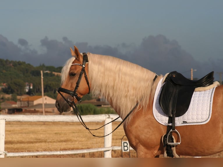 Cheval BARBIE blanc - stable - le son ne fonctionne plus