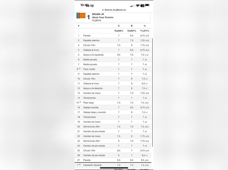 PRE Croisé Jument 12 Ans 169 cm Bai in Seeheim-Jugenheim