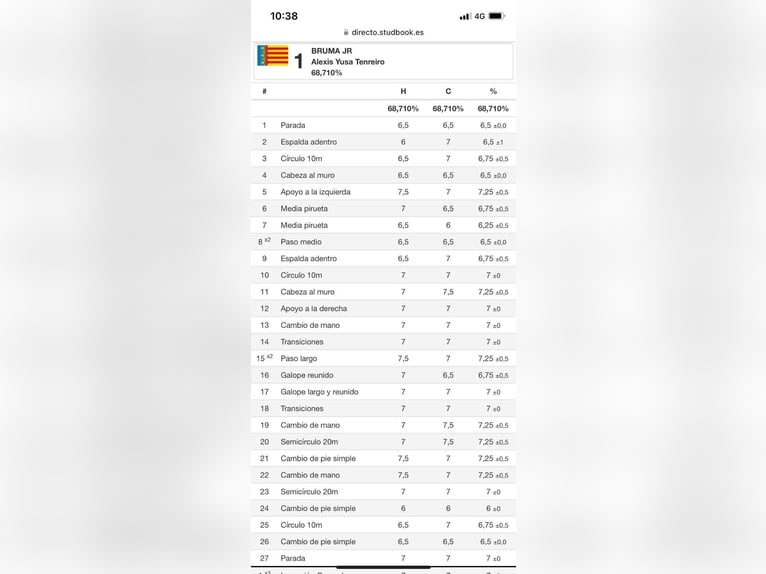 PRE Croisé Jument 13 Ans 169 cm Bai in Seeheim-Jugenheim