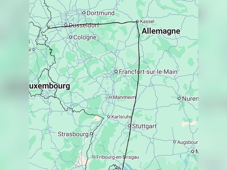 PRE Mix Klacz 3 lat 154 cm Jelenia in Velbert