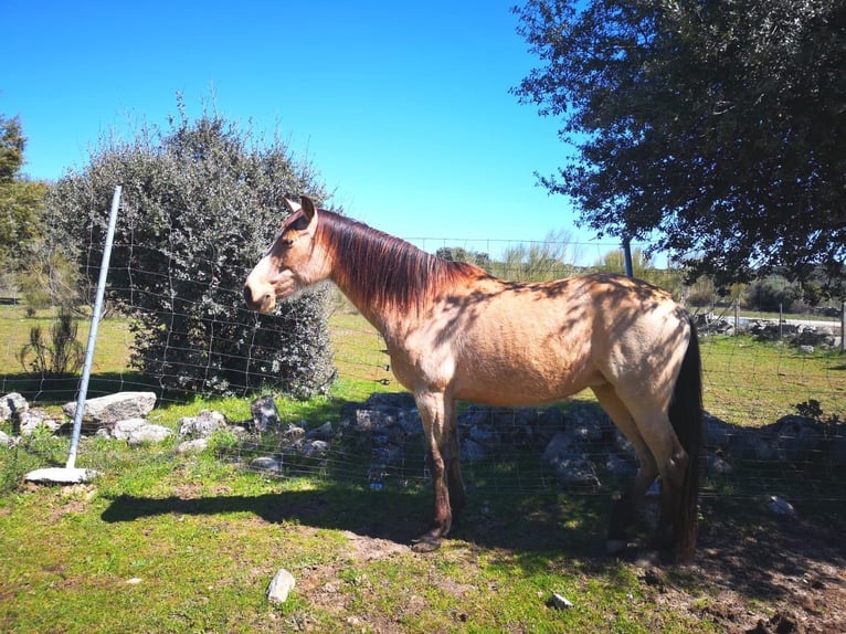 PRE Mare 10 years in Madrid