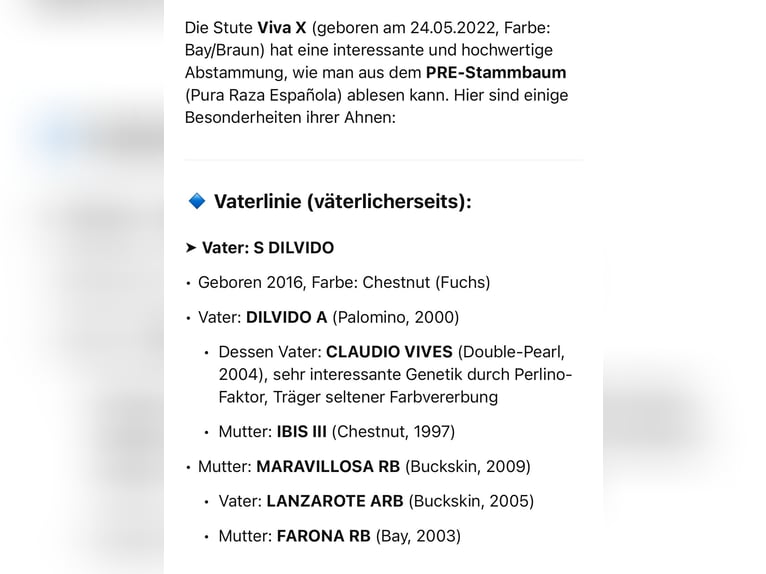 PRE Mare 3 years 15,2 hh Buckskin in Lochen am See