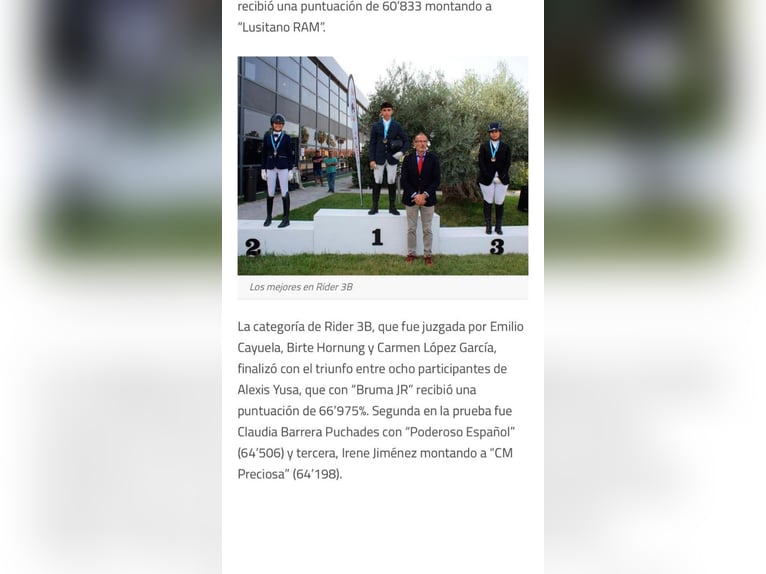 PRE Mix Merrie 12 Jaar 169 cm Bruin in Seeheim-Jugenheim