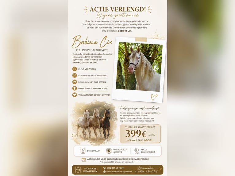 PRE Ogier Perlino in Boezinge
