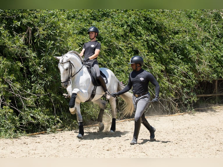 PRE Mix Ruin 7 Jaar Schimmel in Jimena De La Frontera