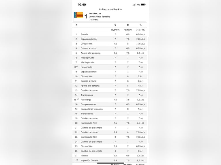 PRE Mix Stute 13 Jahre 169 cm Brauner in Seeheim-Jugenheim
