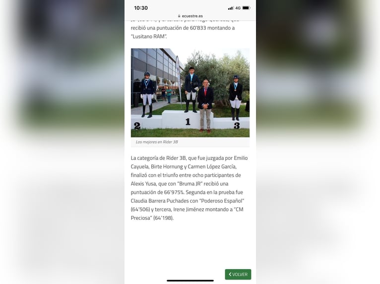 PRE Mestizo Yegua 13 años 169 cm Castaño in Seeheim-Jugenheim