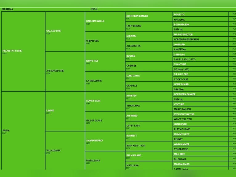Pura sangre inglés Yegua 12 años 165 cm Castaño in Ortoño (Ames)