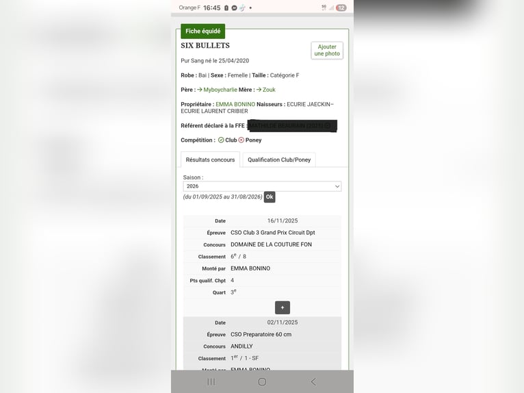 Purosangue inglese Giumenta 6 Anni 163 cm Baio in Écouen