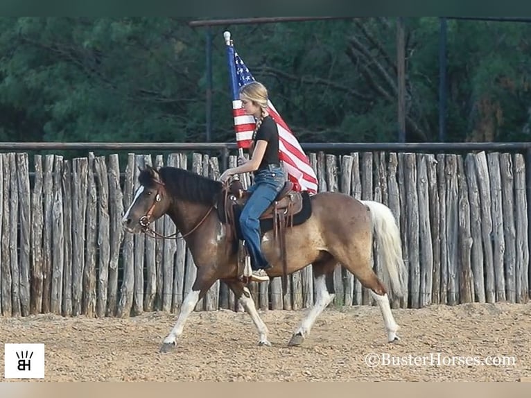 Quarter horse américain Hongre 10 Ans 117 cm Tobiano-toutes couleurs in Weatherford TX