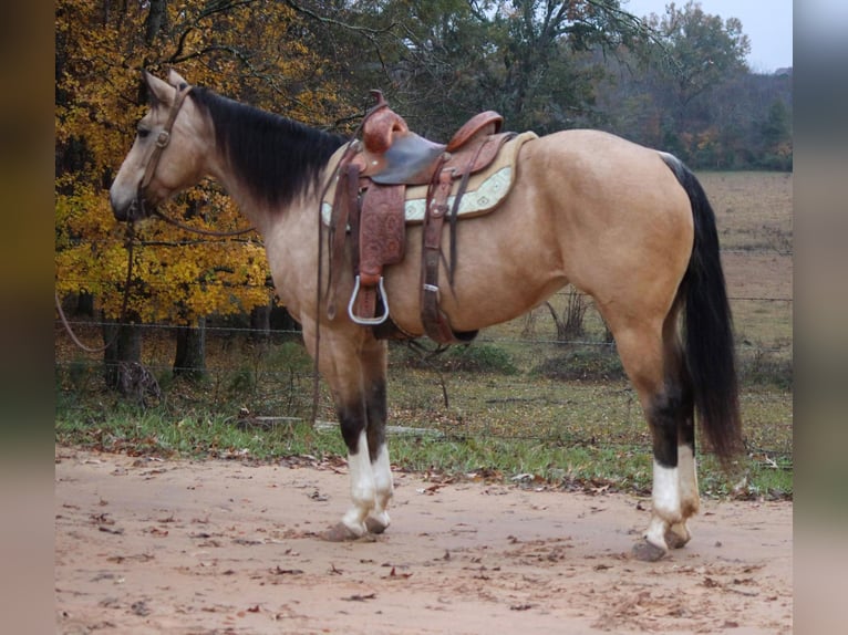 Quarter horse américain Hongre 10 Ans 150 cm Buckskin in Rusk TX