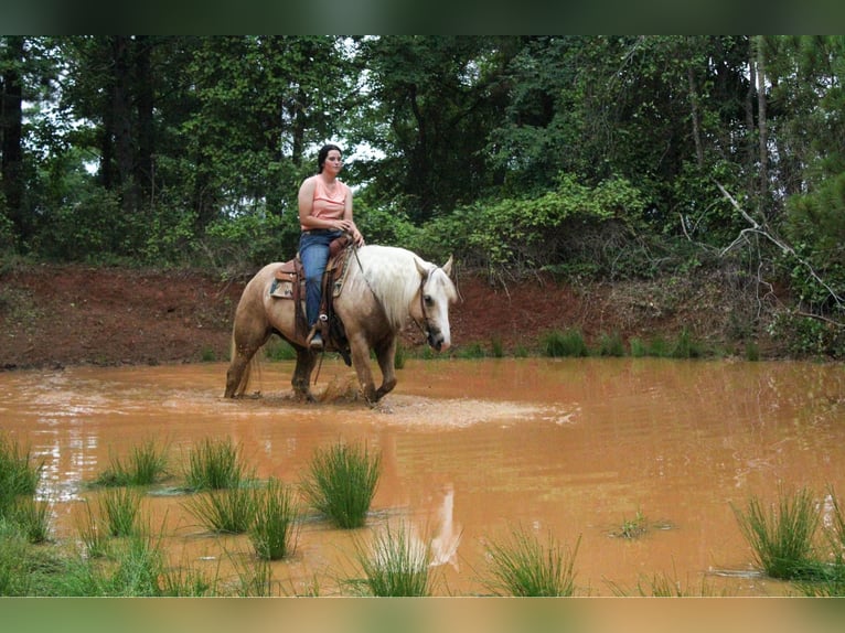 Quarter horse américain Hongre 10 Ans 155 cm Palomino in RUsk TX