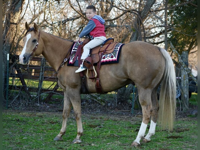 Quarter horse américain Hongre 10 Ans 157 cm Palomino in Weatherford, TX