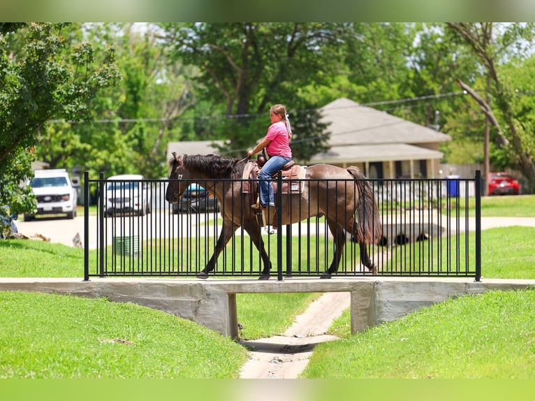 Quarter horse américain Hongre 10 Ans Grullo in Forney