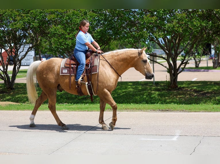 Quarter horse américain Hongre 10 Ans Palomino in Terrell