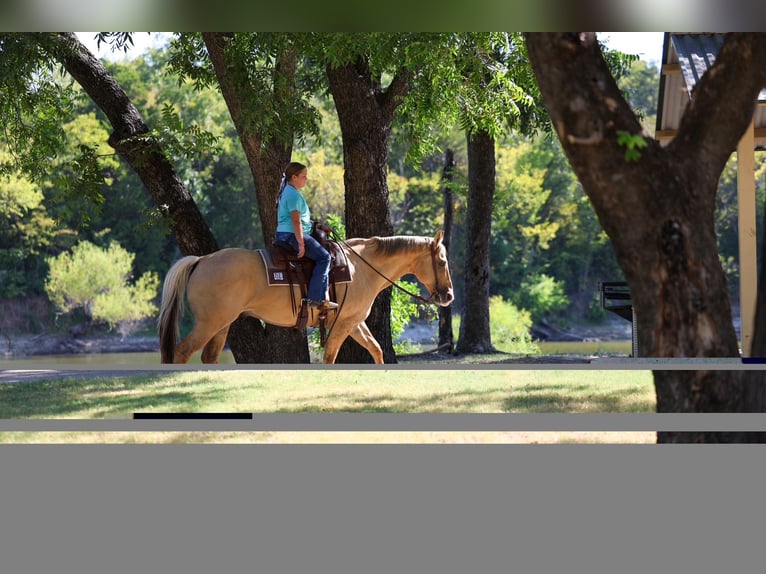Quarter horse américain Hongre 10 Ans Palomino in Terrell