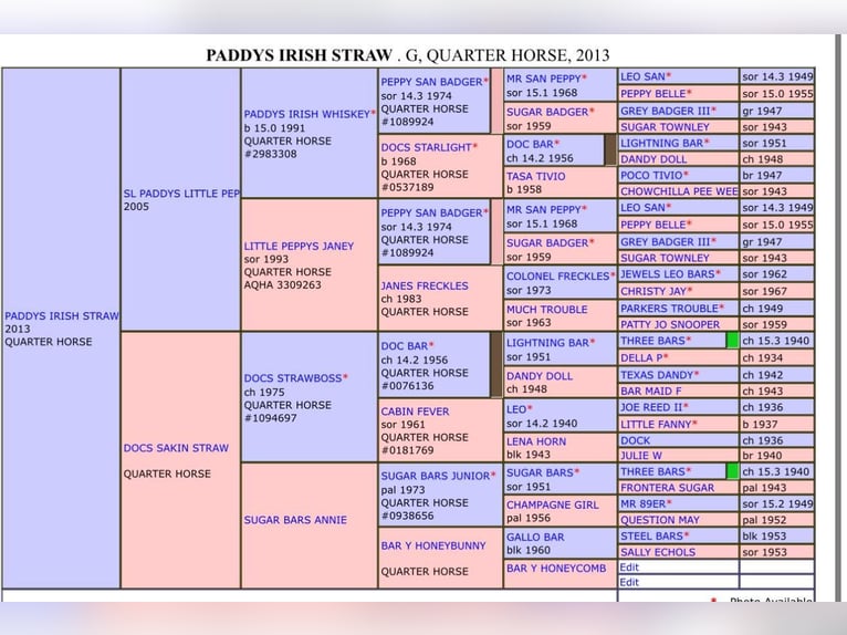 Quarter horse américain Hongre 11 Ans 150 cm Alezan brûlé in Weatherford TX