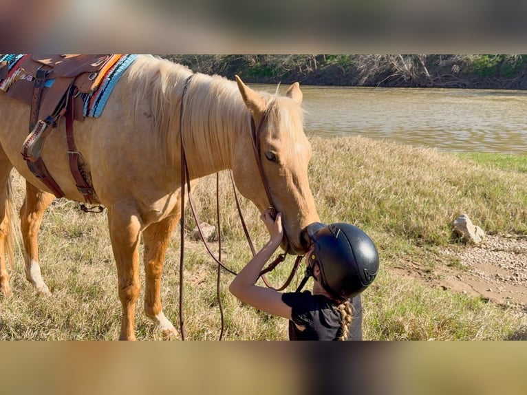Quarter horse américain Hongre 11 Ans 150 cm Palomino in Weatherford