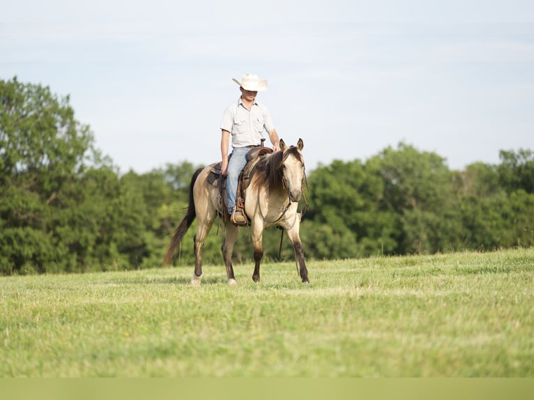Quarter horse américain Hongre 12 Ans 150 cm Buckskin in CANYON, TX