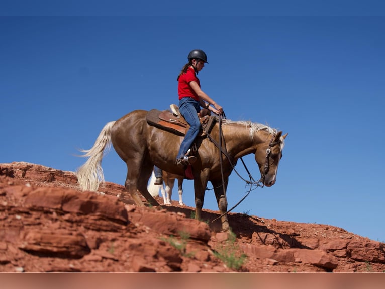 Quarter horse américain Hongre 12 Ans 150 cm Palomino in Lisbon, IA