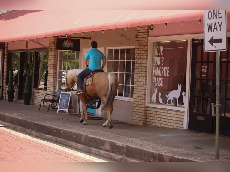 Quarter horse américain Hongre 12 Ans 155 cm Palomino in Rusk TX