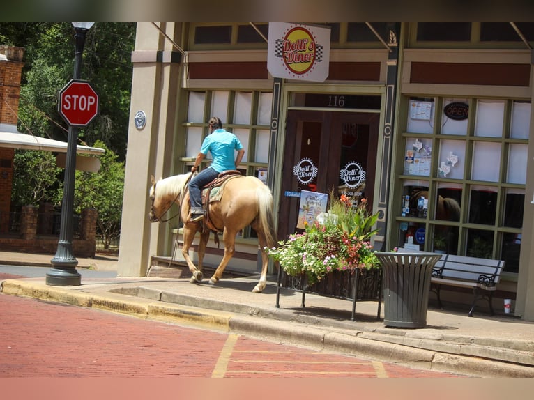 Quarter horse américain Hongre 12 Ans 155 cm Palomino in Rusk TX