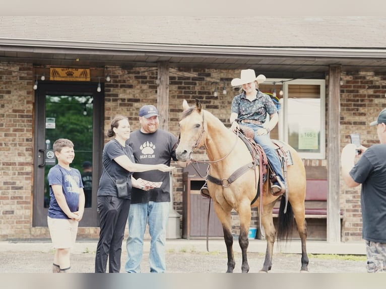 Quarter horse américain Hongre 12 Ans Buckskin in Clarion