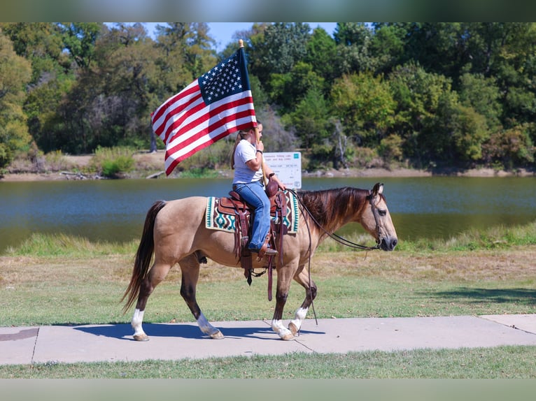 Quarter horse américain Hongre 14 Ans 140 cm Buckskin in Forney