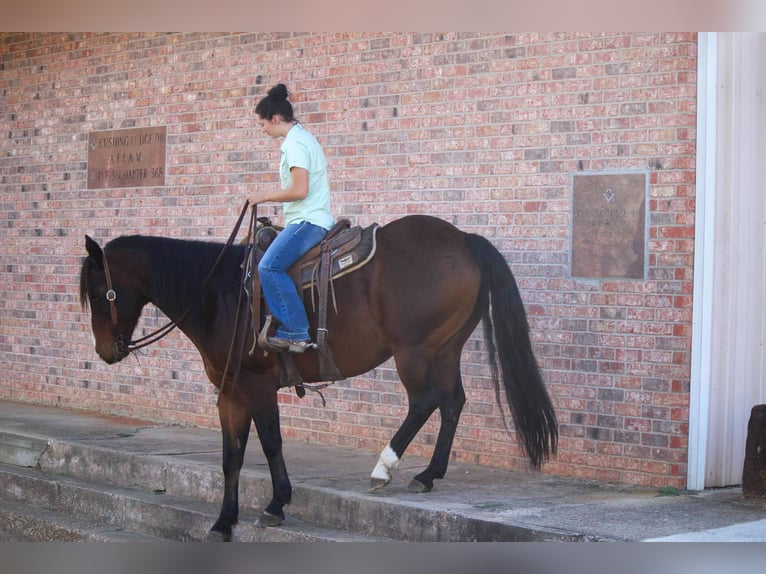Quarter horse américain Hongre 14 Ans Bai cerise in Rusk TX