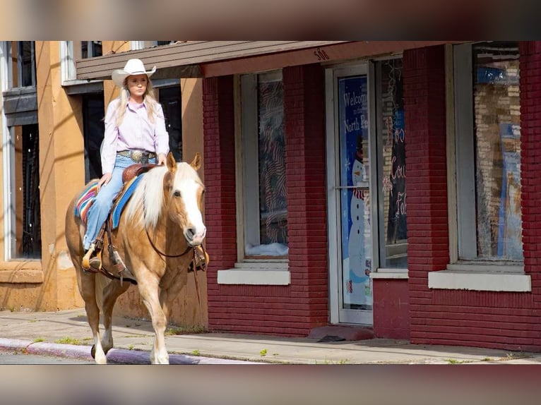 Quarter horse américain Hongre 15 Ans 155 cm Palomino in Quitman AR