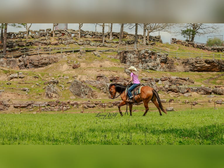Quarter horse américain Hongre 15 Ans 157 cm Isabelle in Quitman