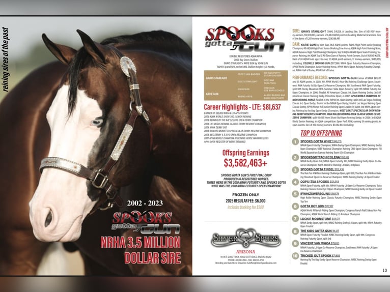 Quarter horse américain Hongre 3 Ans 152 cm Blanc in Whitesboro