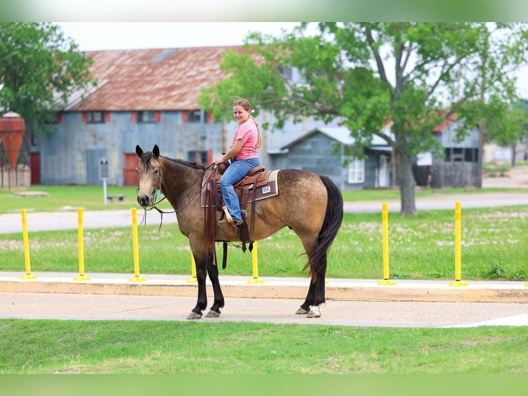Quarter horse américain Hongre 3 Ans Buckskin in Talty, TX
