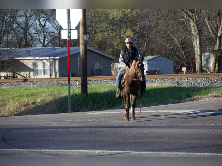 Quarter horse américain Hongre 4 Ans 140 cm Palomino in Sulphur Springs