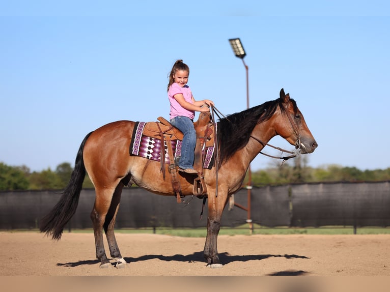 Quarter horse américain Hongre 4 Ans 150 cm Bai cerise in Buffalo, MO