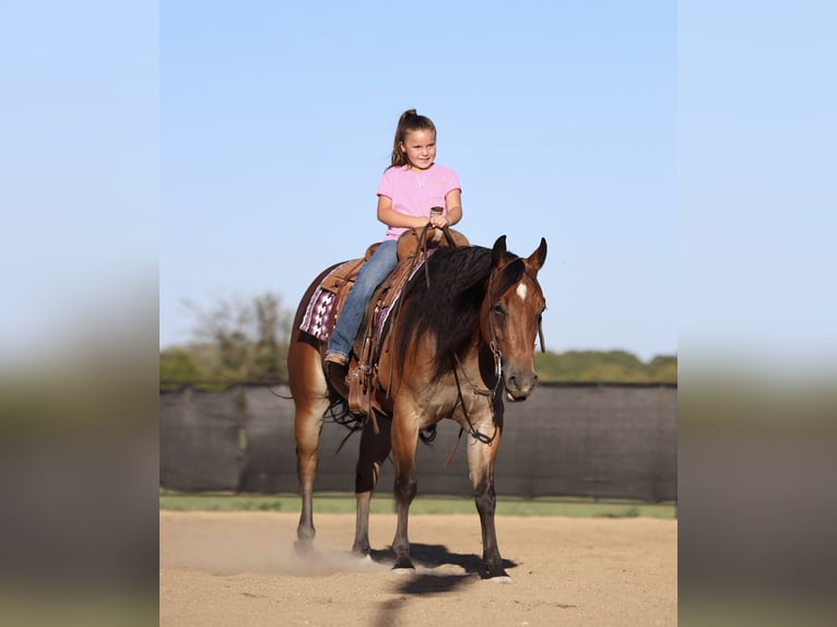 Quarter horse américain Hongre 4 Ans 150 cm Bai cerise in Buffalo, MO