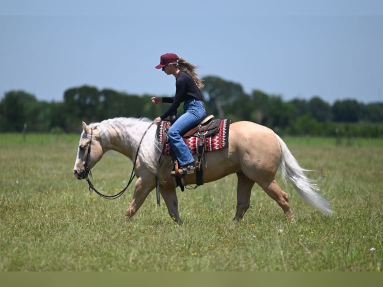 Quarter horse américain Hongre 4 Ans Palomino in Waco
